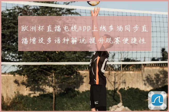 欧洲杯直播电视app上线多场同步直播增设多语种解说 提升观赛便捷性