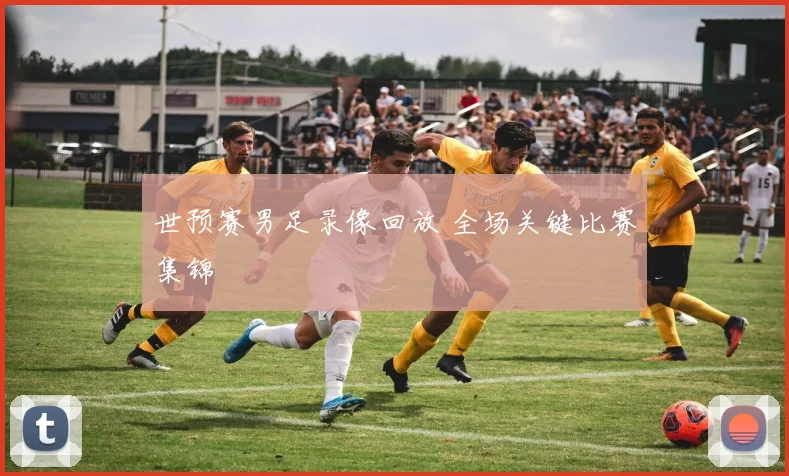 世预赛男足录像回放 全场关键比赛集锦