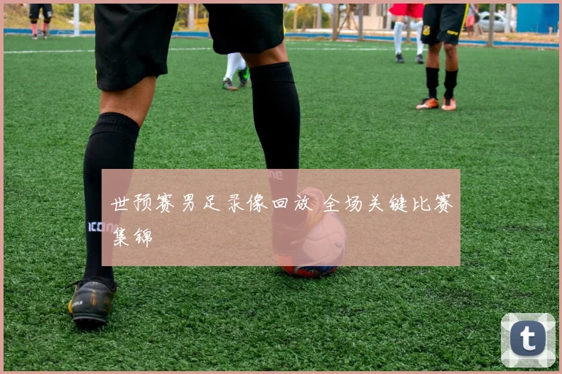 世预赛男足录像回放 全场关键比赛集锦