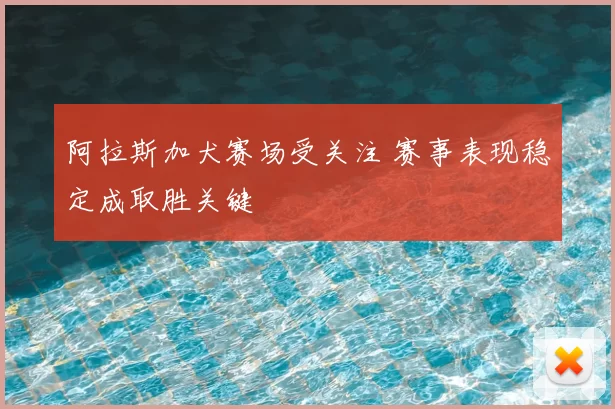 阿拉斯加犬赛场受关注 赛事表现稳定成取胜关键